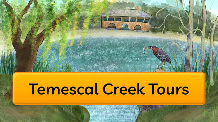 Temescal Creek