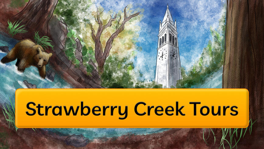 Strawberry Creek